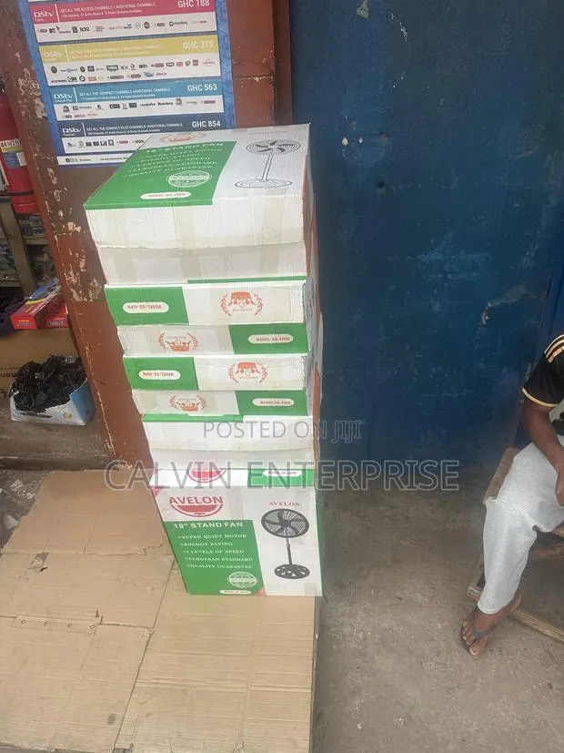 Avelon 2in1 Standing Fan · Photo 1