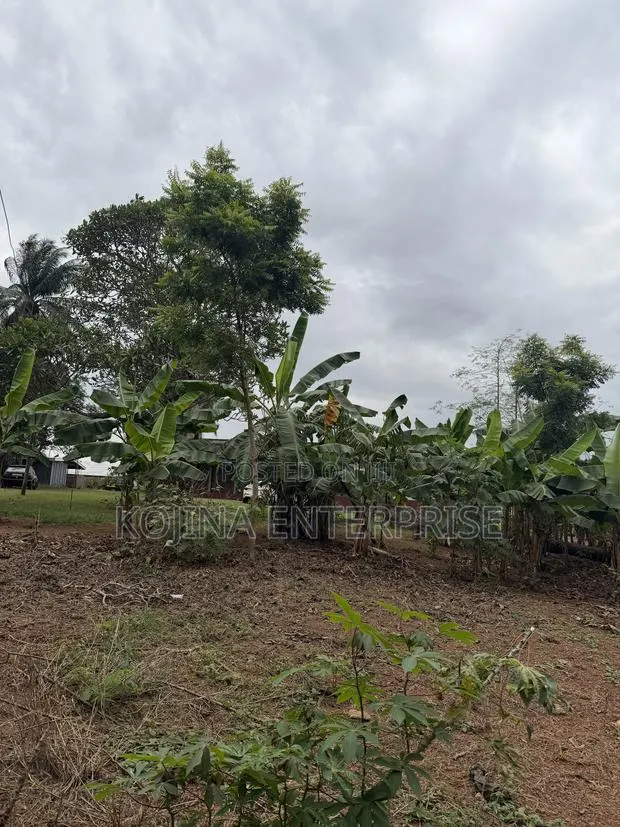 Prime Residential Land for Sale – Ridge Danyame, Kumasi · Photo 1