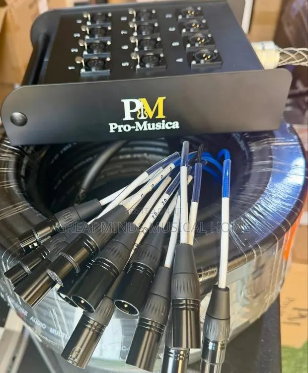 Pro Musica 8 Channels Audio Link · Photo 1