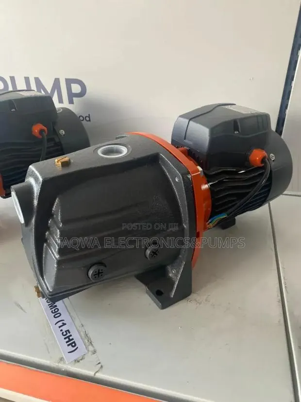 Clean - Water Pump - Leo 1.5hp Ajm90 · Photo 1