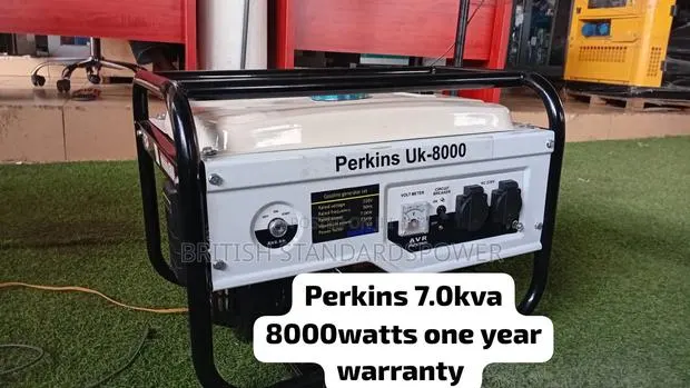 Perkins 8000w Generator – High Performance With Stable Output · Photo 1