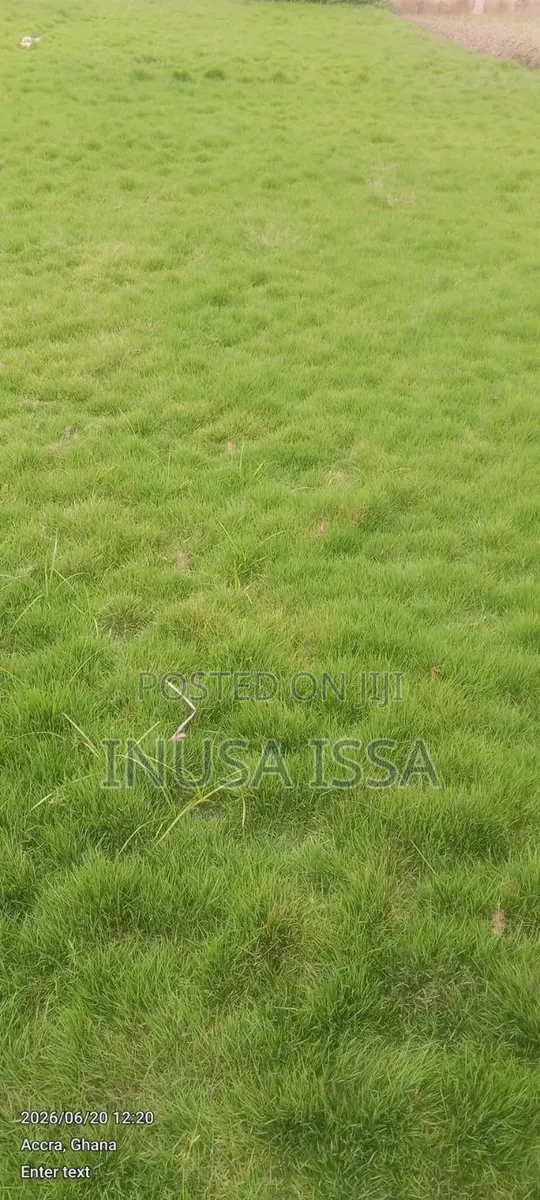 Garden Service · Photo 1