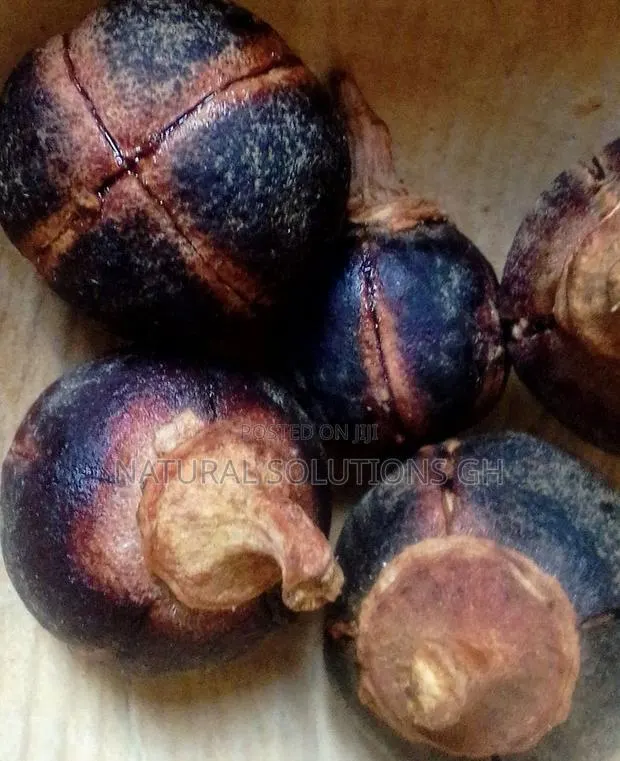 Gorontula Fruit African Chewing Gum · Photo 1