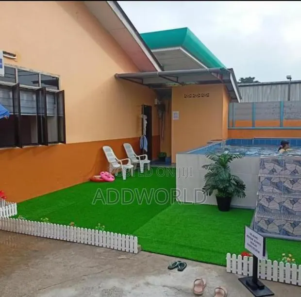 Normal Quality Grass Carpet · Photo 6