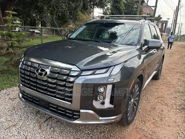 Hyundai Palisade Calligraphy 2023 Gray · Photo 1