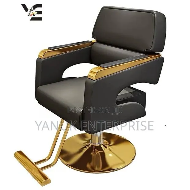Salon Chair · Photo 1