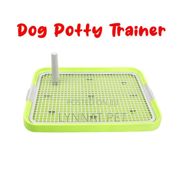 Plastic Potty Tray · Photo 1