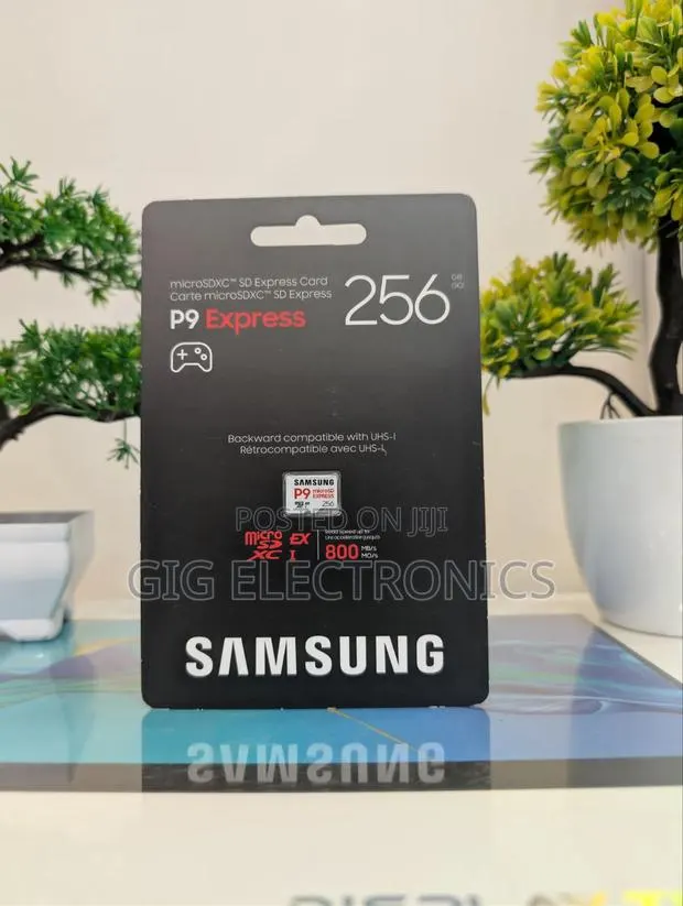 Samsung P9 Express microSDXC Memory Card 256GB for Nintendo Switch 2 · Photo 1
