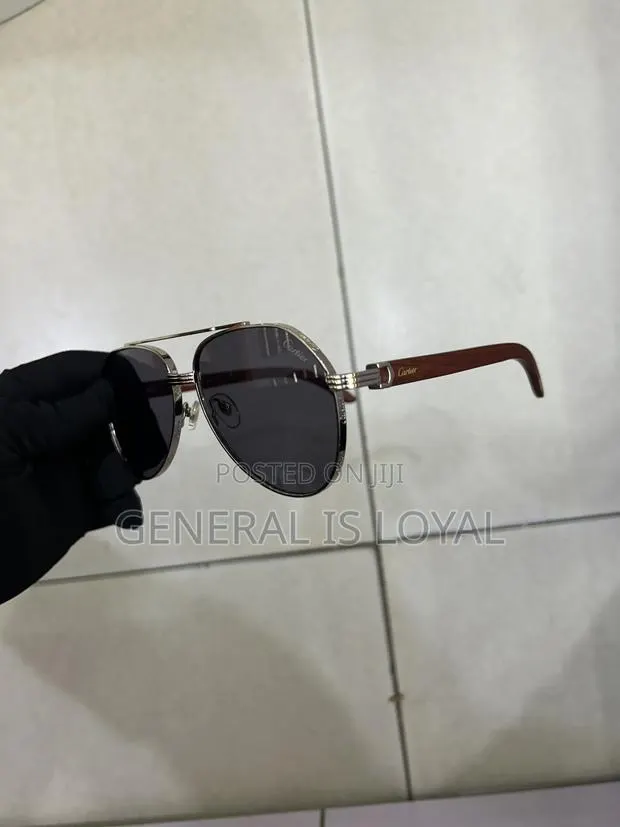 Cartier Dark Stainless Sunglasses Silver Wood Handle · Photo 1
