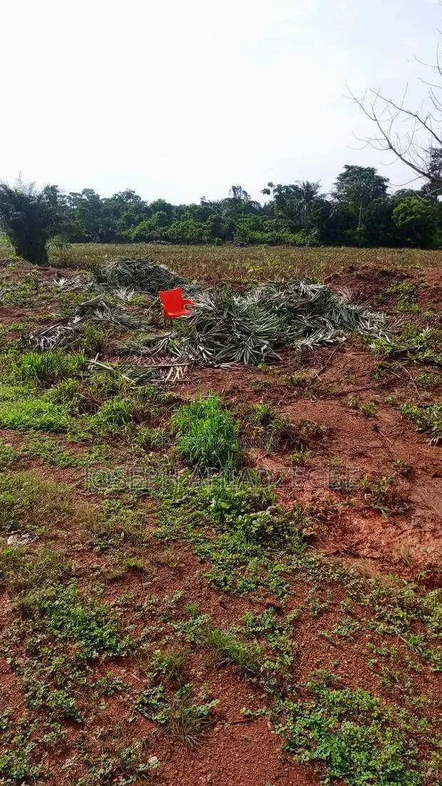 Farm Land for Sale · Photo 1