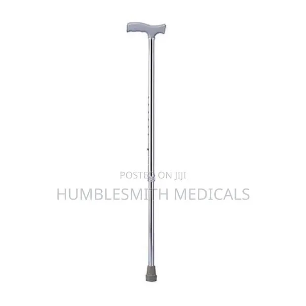 Walking Stick · Photo 1