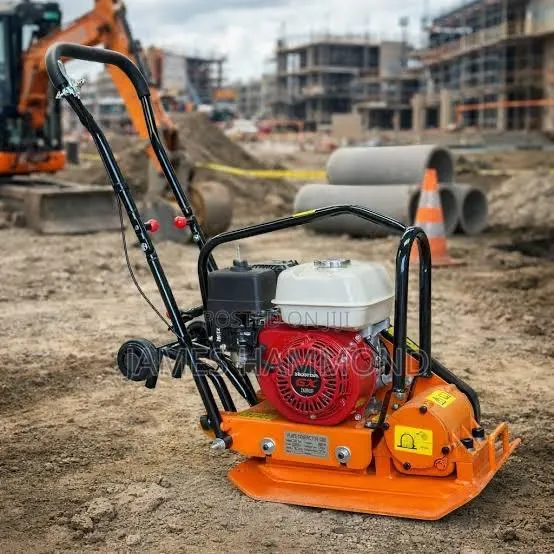 Rental of Plate Compactor · Photo 1