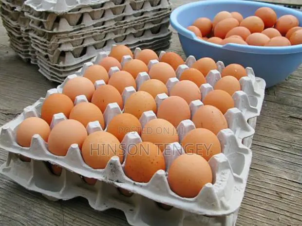 Natural Eggs · Photo 1