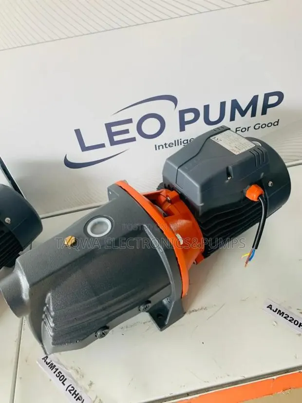Lasting Cast Pump Leo 2hp · Photo 1