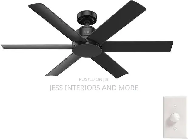 Hunter 52 Inch Outdoor or Indoor Ceiling Fan · Photo 1