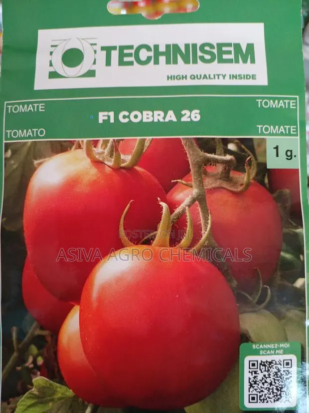 Cobra 26 1gram Tomato Seeds · Photo 3