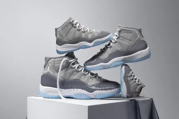 Air Jordan11 Grey · Photo 1