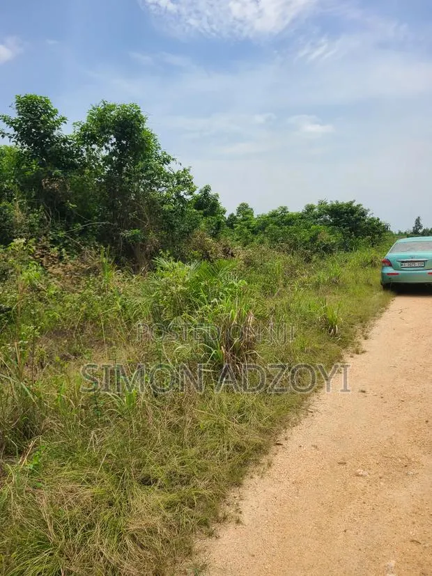 Registered 1000 Acres of Farme Land for Sale · Photo 1