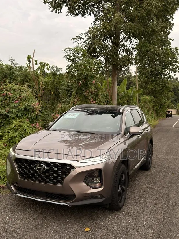 Hyundai Santa Fe Limited 2.0T AWD 2020 Beige · Photo 1