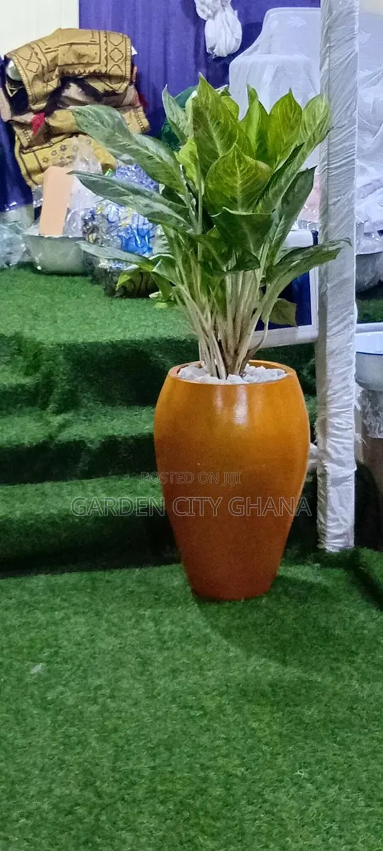 Garden Cityservices · Photo 4