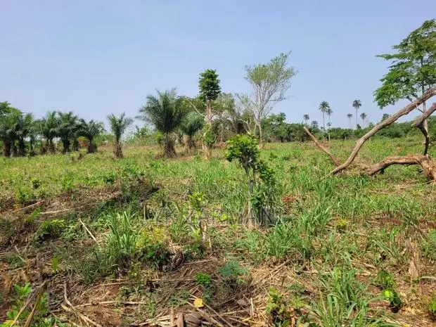10 Acres Farmland for Sale · Photo 1