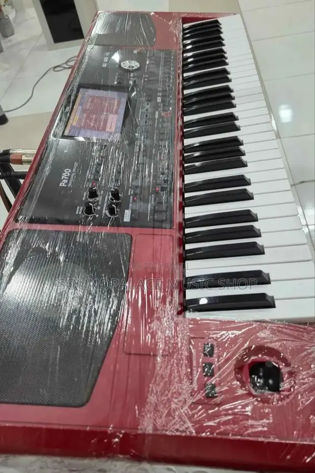 Korg Pa700 61-Key Professional Arranger · Photo 1