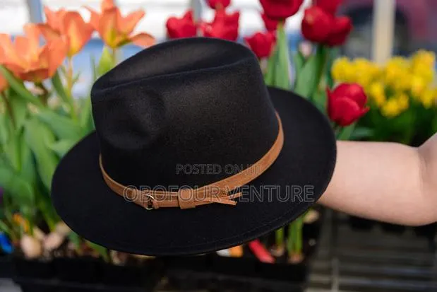 Black and Brown Belt Buckle With Different
Colors of the Fedora Hat · Photo 1