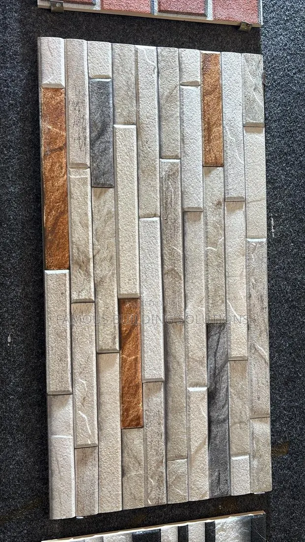 30x60 Facial Tiles · Photo 3