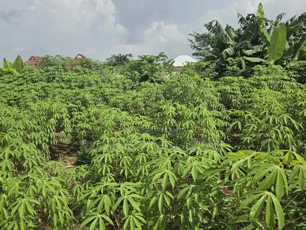Land at Adubinsu-Biaa for Sale · Photo 1