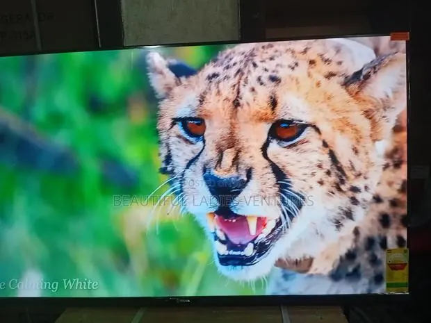 Sigma 55-Inch Led Tv – High Definition Clarity · Photo 1