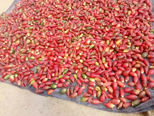 Fresh And Dry Alligator Pepper · Photo 2