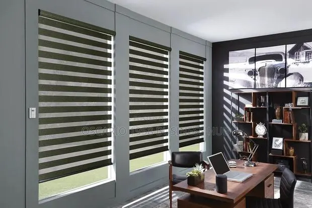 Triumph Thrive Window Zebra Blind Curtains · Photo 1
