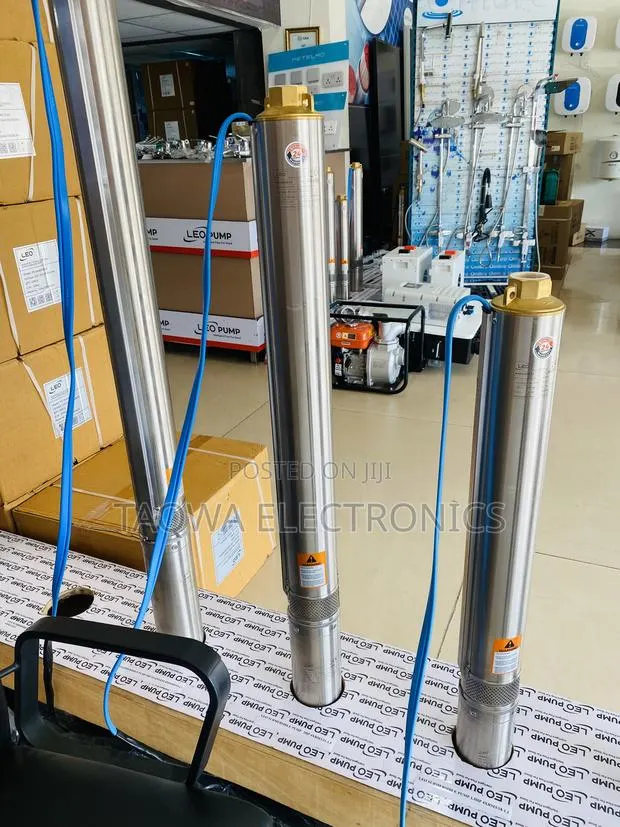 Typical Leo 1.5hp Borehole Pump · Photo 1