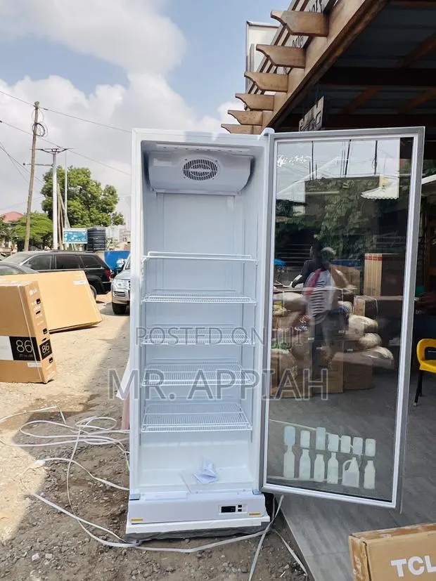 Durable and Affordable Zara-600dfg Single Door Display Fridge · Photo 1