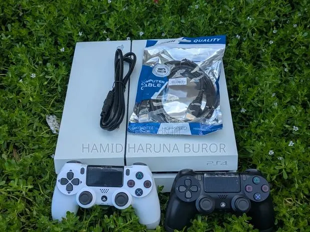 PS4 Standard Limited Edition (Jailbreak With Two Controllers)