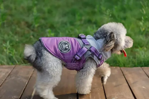 Dog Coat With Built-in Harness · Photo 1