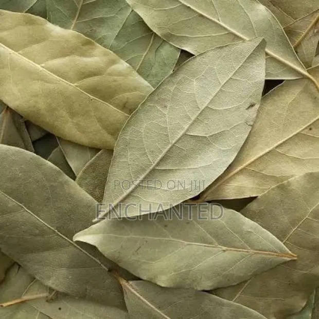 Bay Leaves · Photo 1