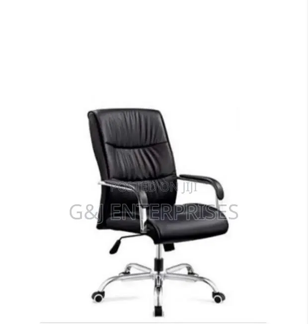 Home and Office Executive Chair · Photo 1