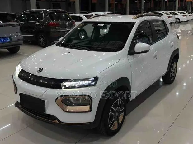 Dongfeng Nammi Box 31.45 kWh FWD 2024 White · Photo 1