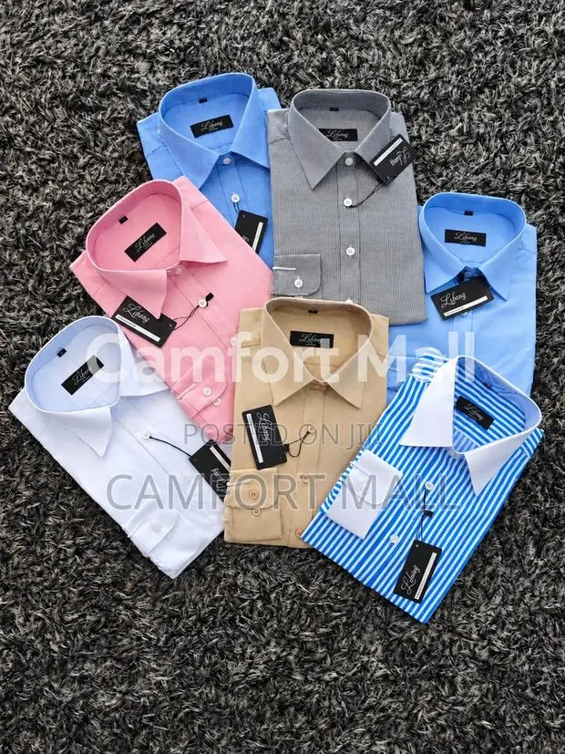 Ladies' Long-Sleeve Striped and Plain Cotton Shirt · Photo 1