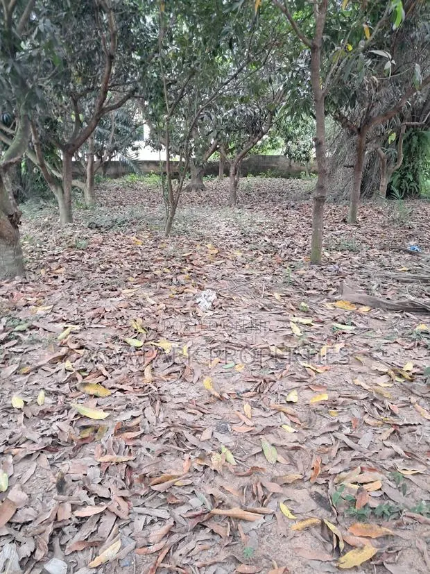 One and Half Plot of Title Land for Sale · Photo 1