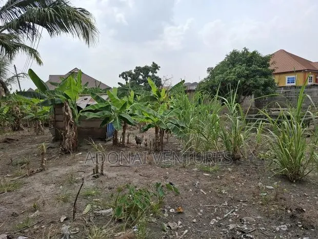 Full Plot for Sale in Ahodwo Daban · Photo 1