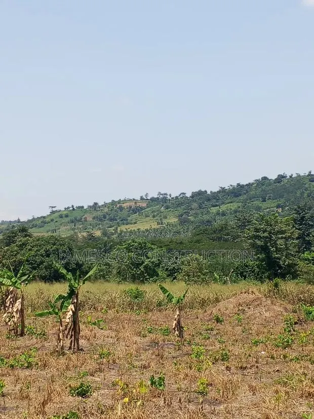 Farmland for Sale in Krachi Bontibor