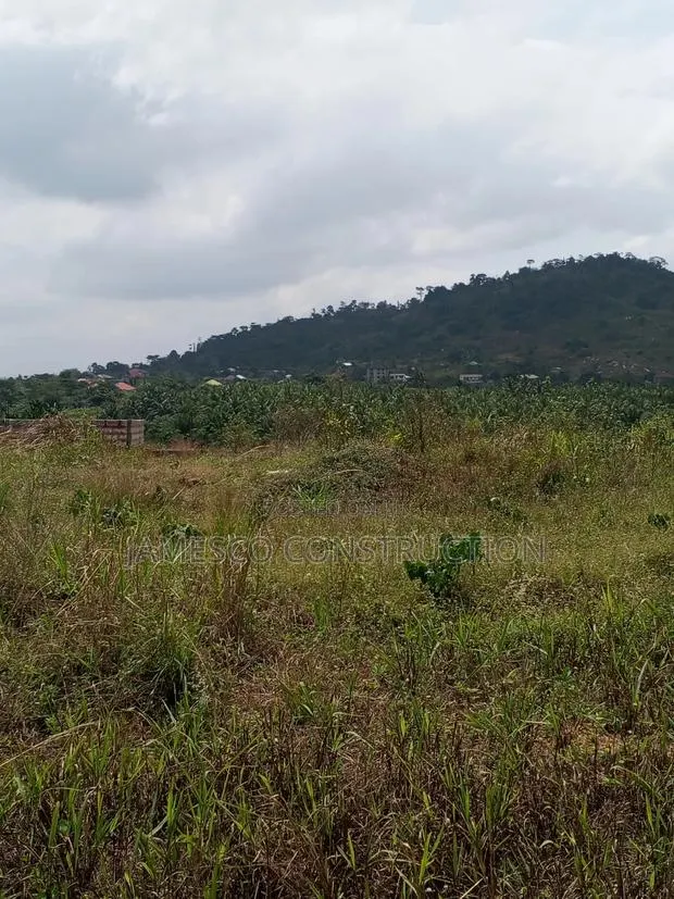 Register 60 Acres of Residential Land for Sale at Nsawam Oparekrom