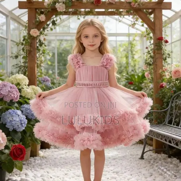 Luxury Princess Dress · Photo 1