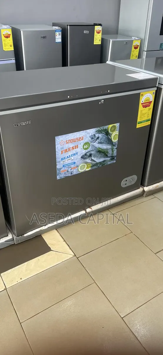 200L Chest Fre · Photo 1