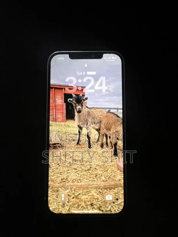 Apple iPhone 12 Pro Max 128 GB White · Photo 1