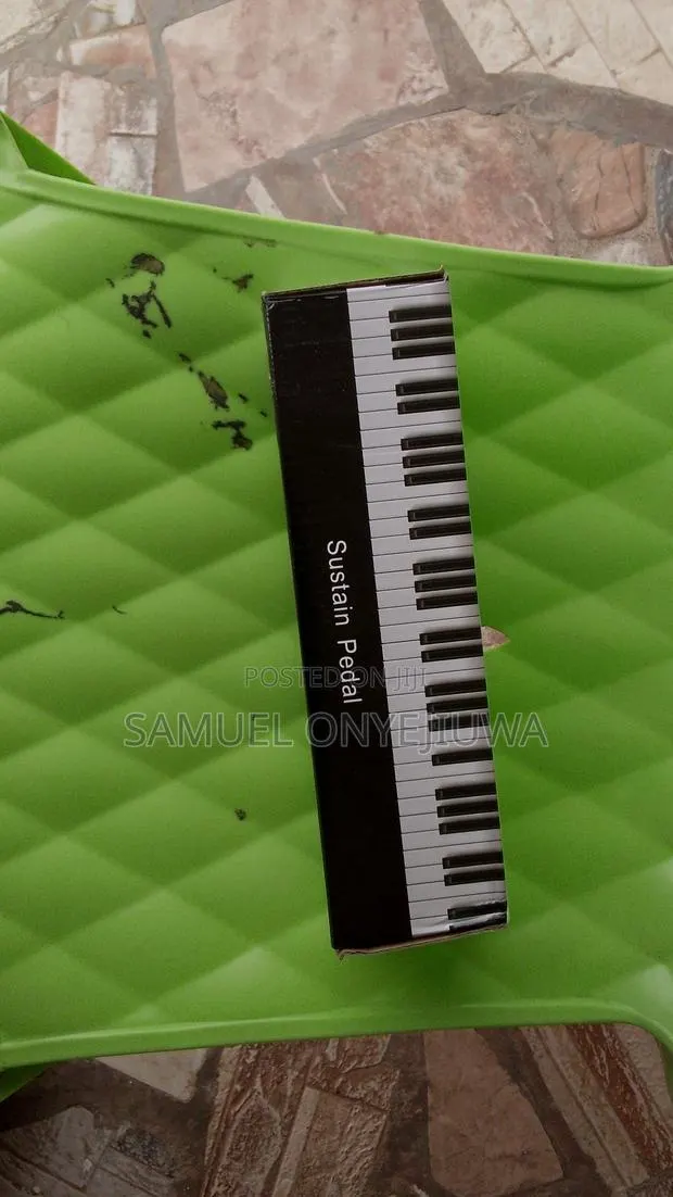 Sustain Pedal (Big) · Photo 1