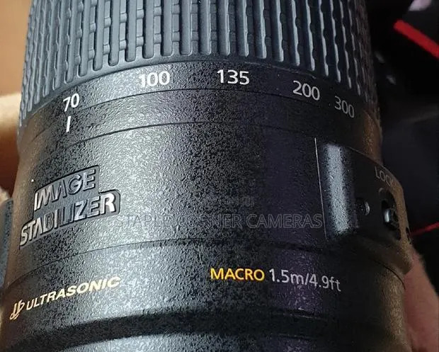 Canon EF 70-300mm 1:4-5.6 IS LENS · Photo 1
