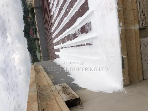 Secret Roof Leakage Treatment Expert · Photo 1